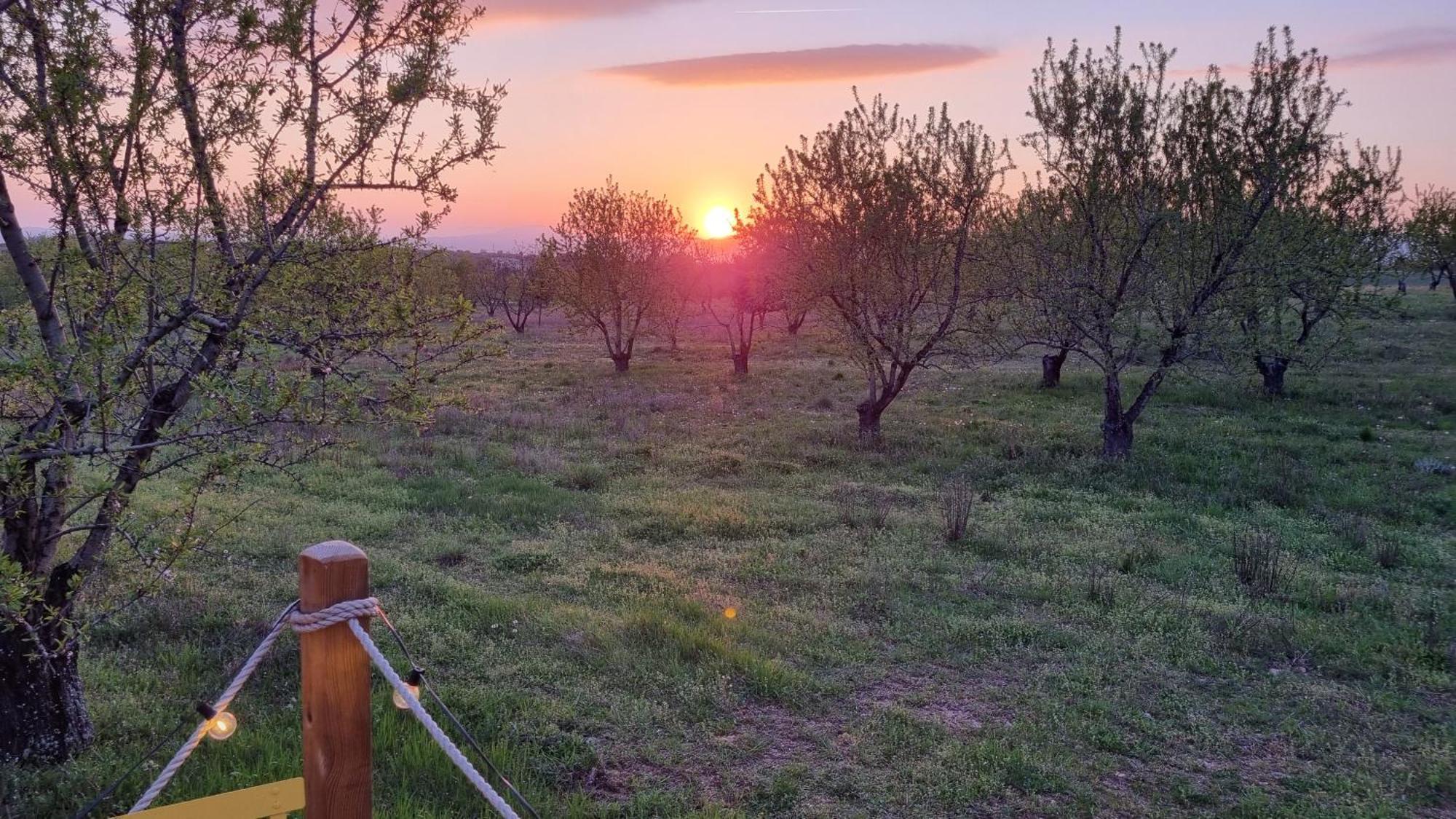 La Bulle Ico